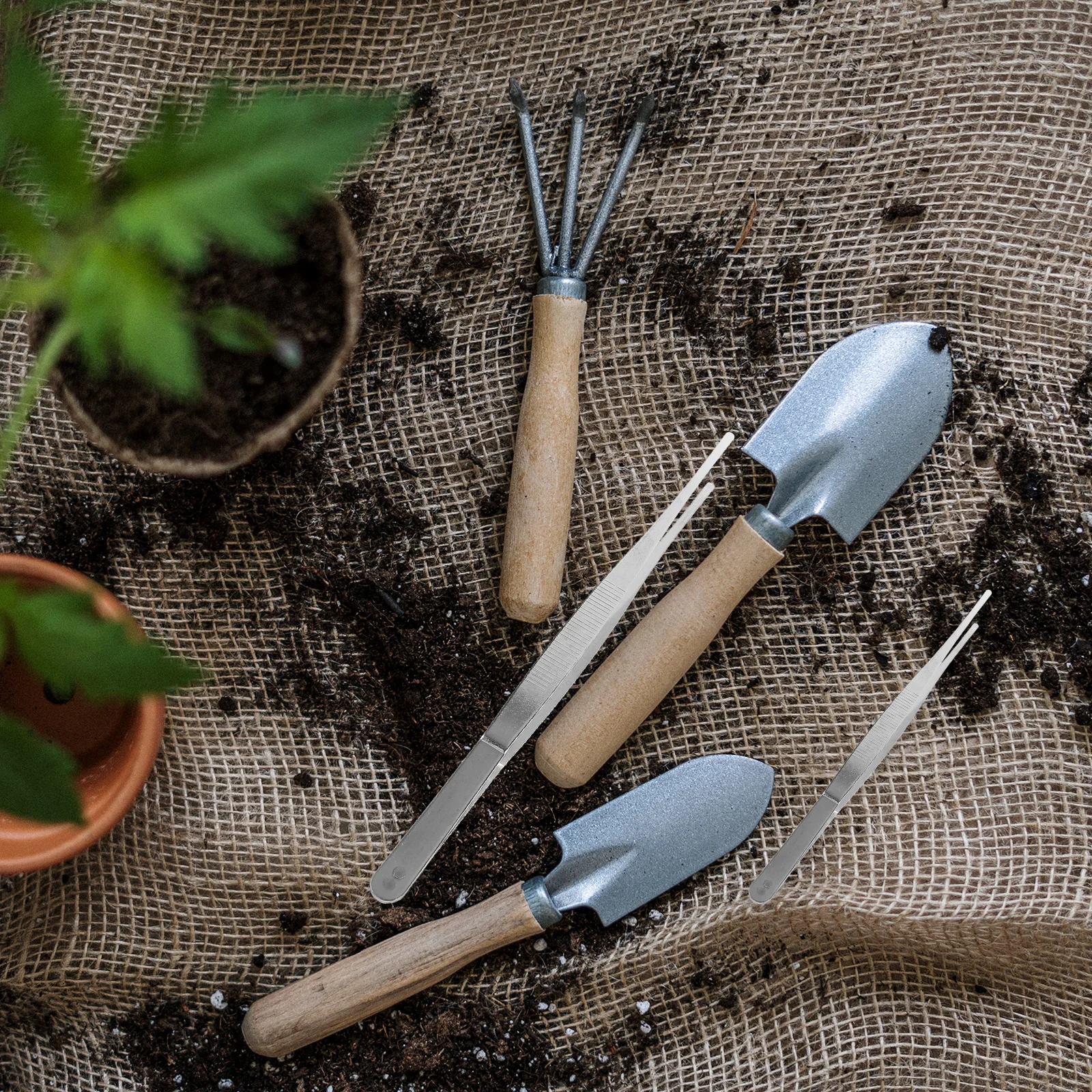 4 stuks roestvrijstalen pincet tuingereedschap voor het planten van sappige draagbare kleine tuingereedschappen huishoudelijke plantenverzorging bonsai