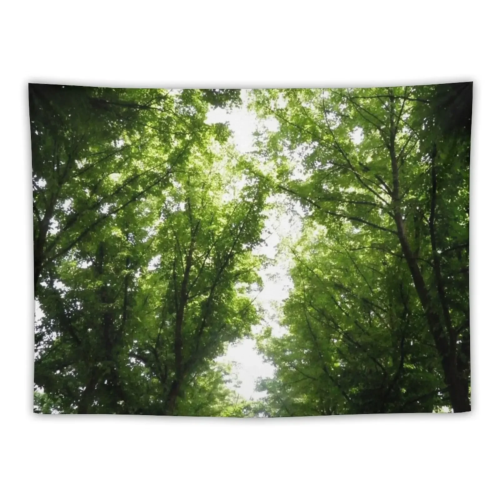 

Magic Forest Tapestry Living Room Decoration Hanging Wall Room Decorations Tapestry