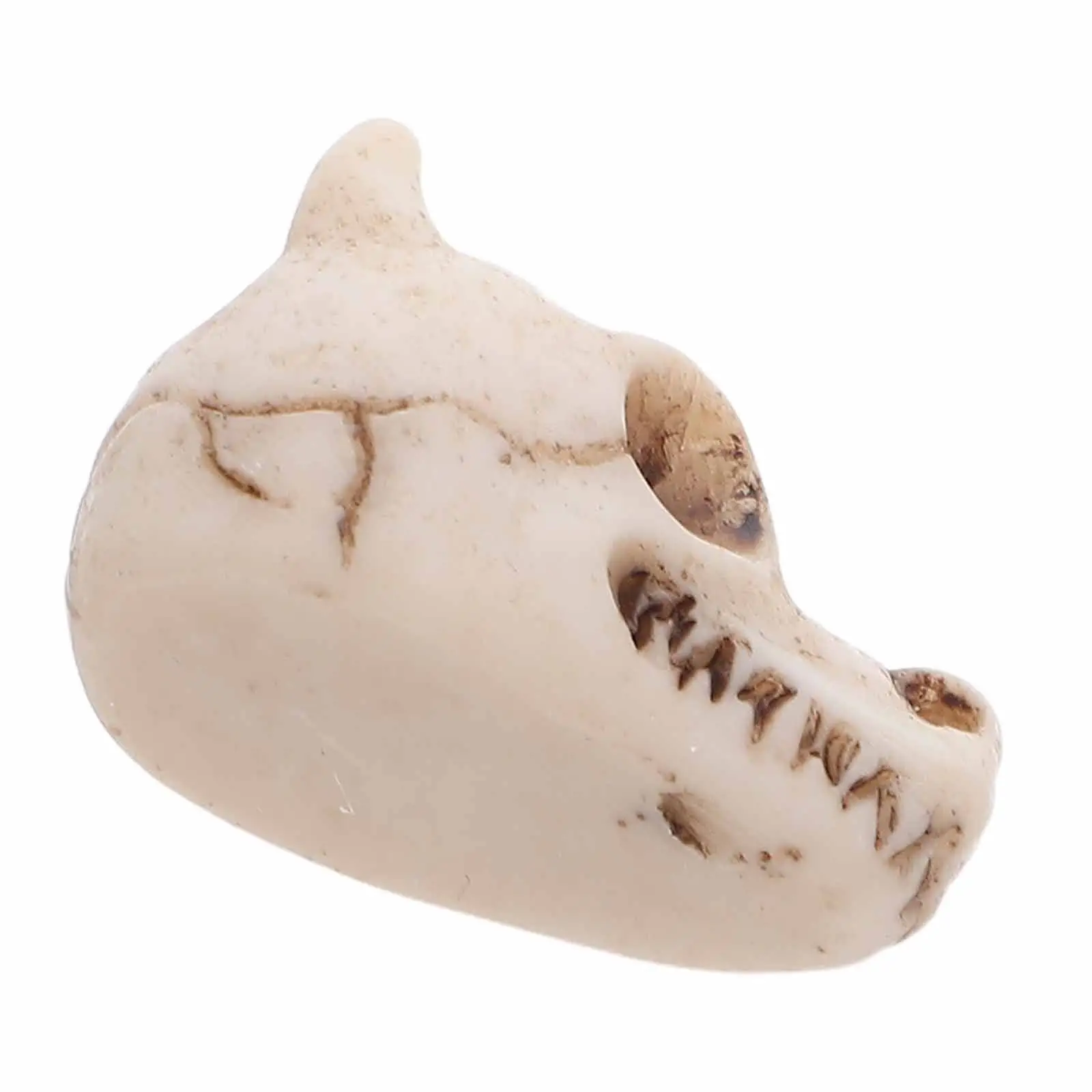 20Pcs Mini Dragon Skull Resin Decorations Outdoor Garden Aquarium Terrarium Reptile Tank Bonsai Landscape Yard Patio Decor