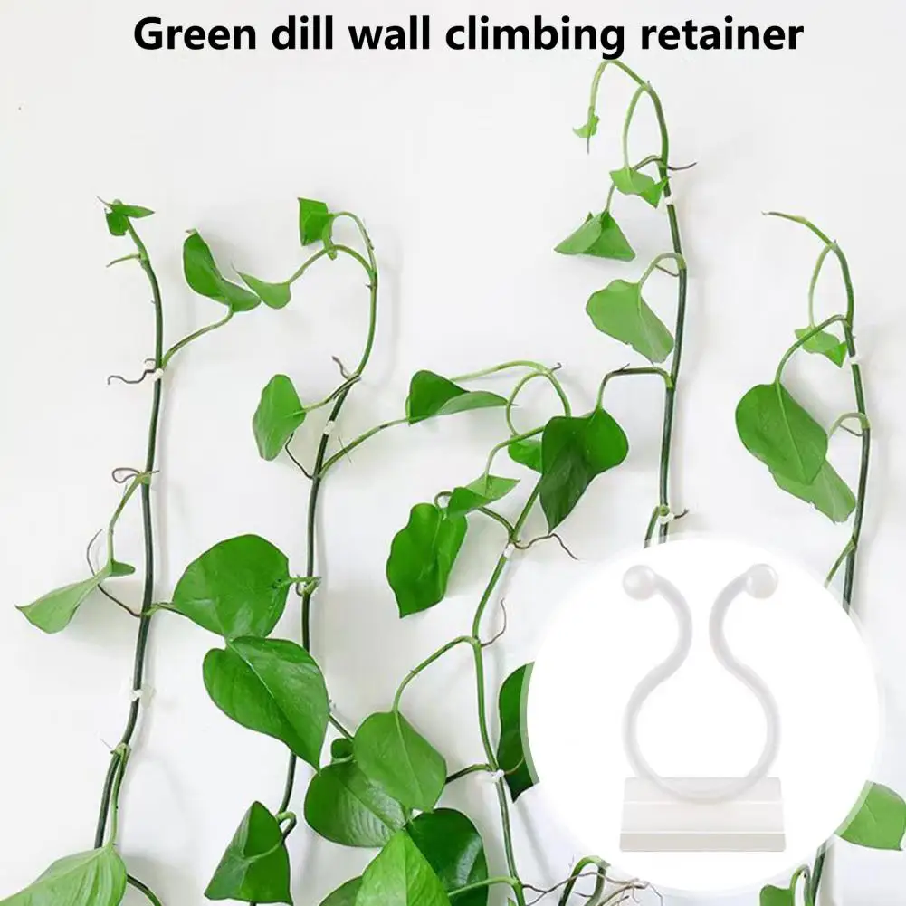 50Pcs 3.5cm Vine Fixing Clip Punch Free Self-adhesive Wall Climbing Plant Branch Binding Fixer Wall Fixture Balcony Supplies