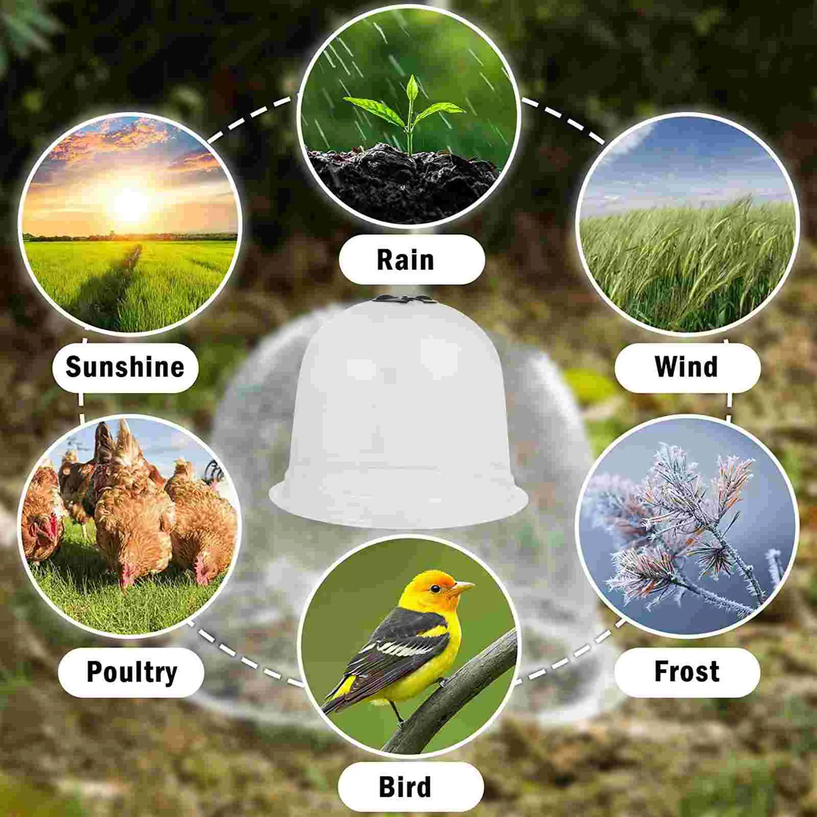 6 Pcs Indoor Plant Protection Cover Greenhouse Dome Freeze Moisturizing Kit Bell Protector Gardening