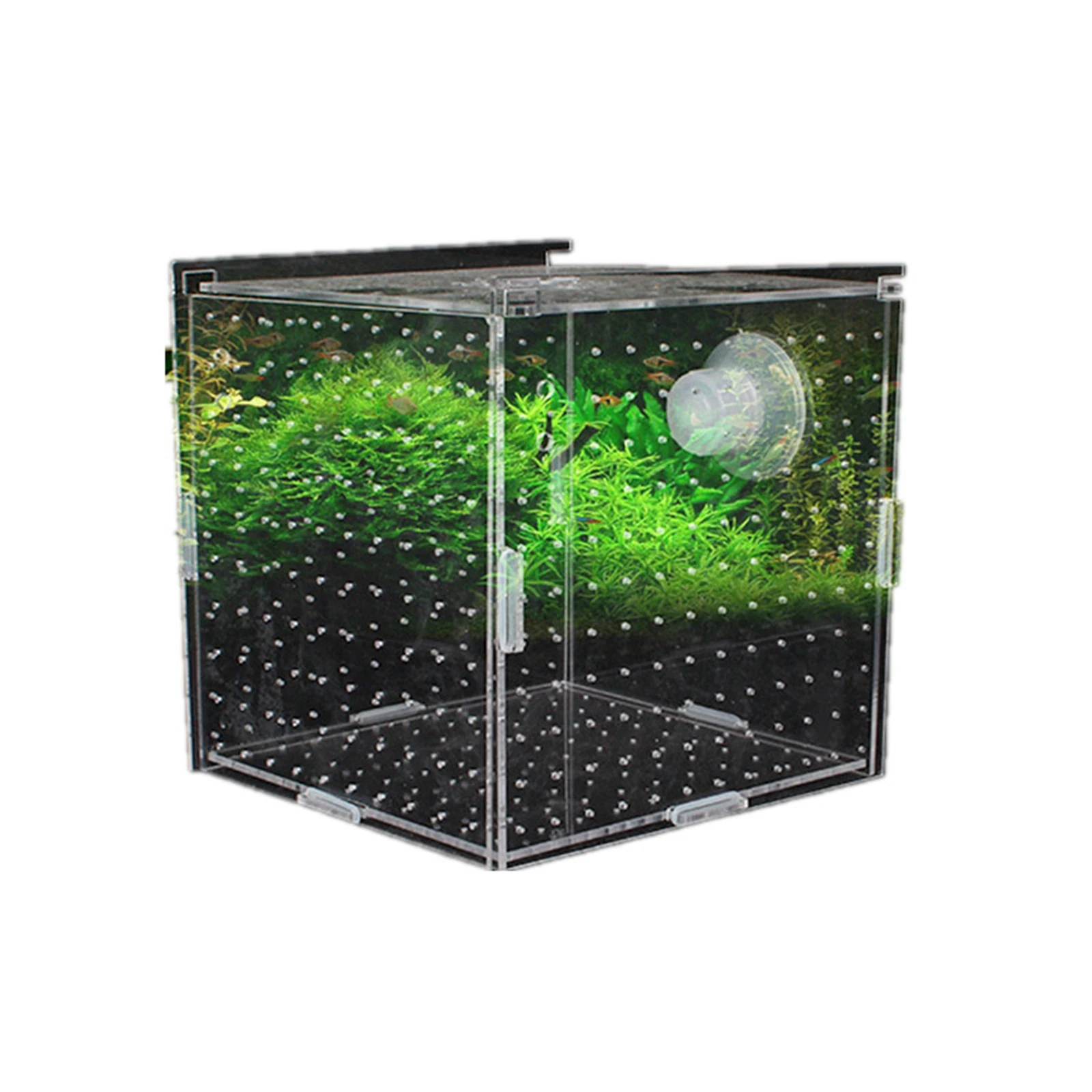 Caja para cría de peces de acuario, accesorio para acuario, caja de cría transparente con aislamiento de peces para Guppy, recién nacido, freír gambas pequeñas