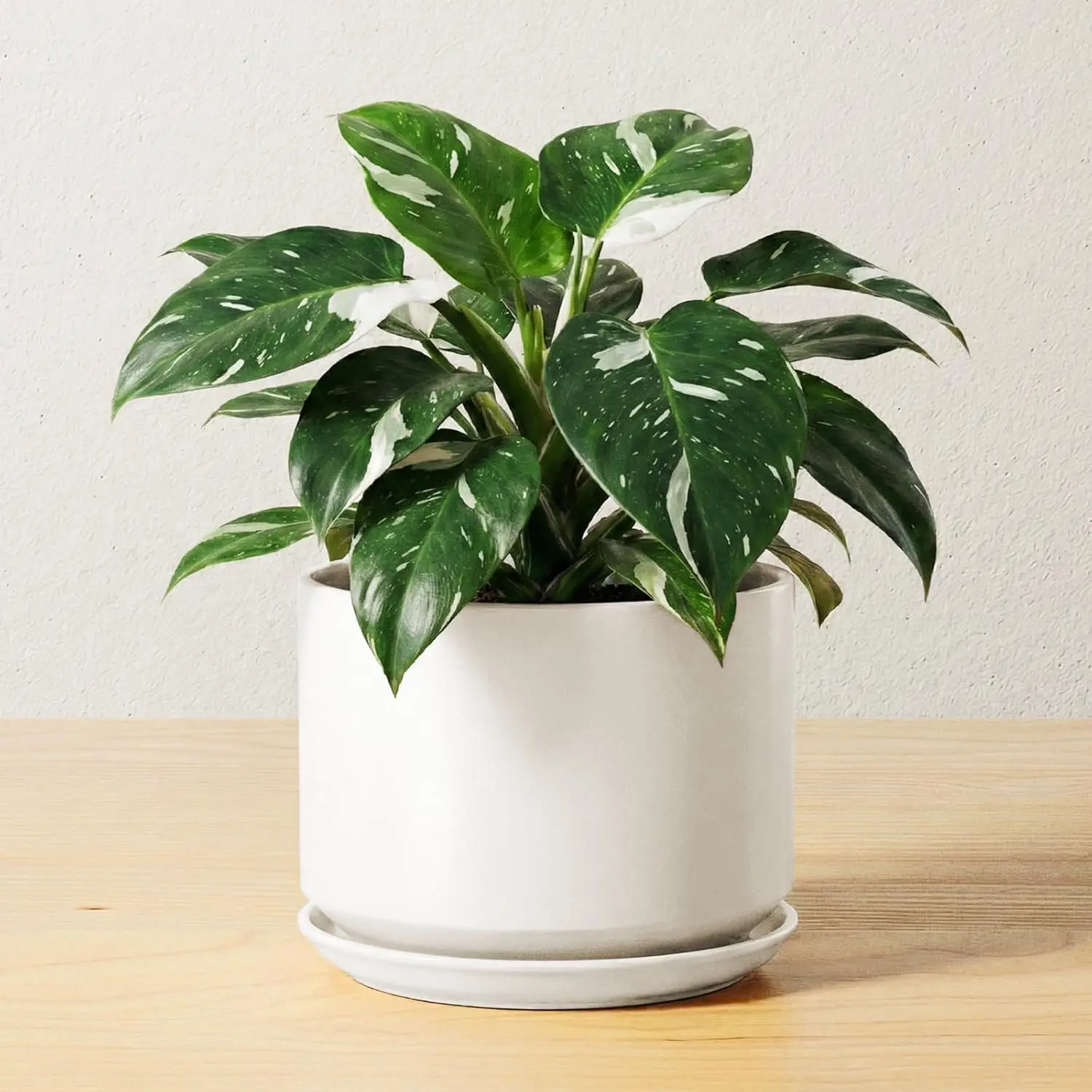 

Ceramic Pots for Plants, 6.8 Inch Plant Pot with Drainage Hole & Saucer, Modern Planter for Indoor Plants, Stable Durable White