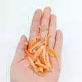 XZ001 10pcs ORANGE