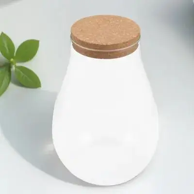 Micro Landscape Glass Terrarium Bottle DIY Moss Ecological Container for Indoor Outdoor Decor Hydroponic Plant Propagation