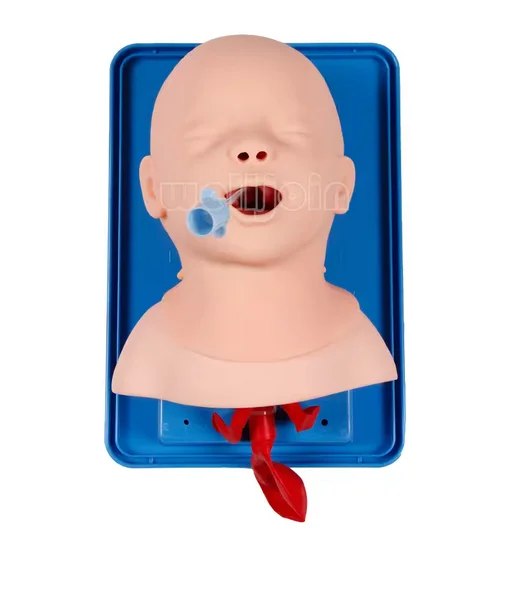 Neonatal/Infant Tracheal Intubation Model Analog Double Lung and Oral and nasal airway Tracheal Intubation Simulator Teaching
