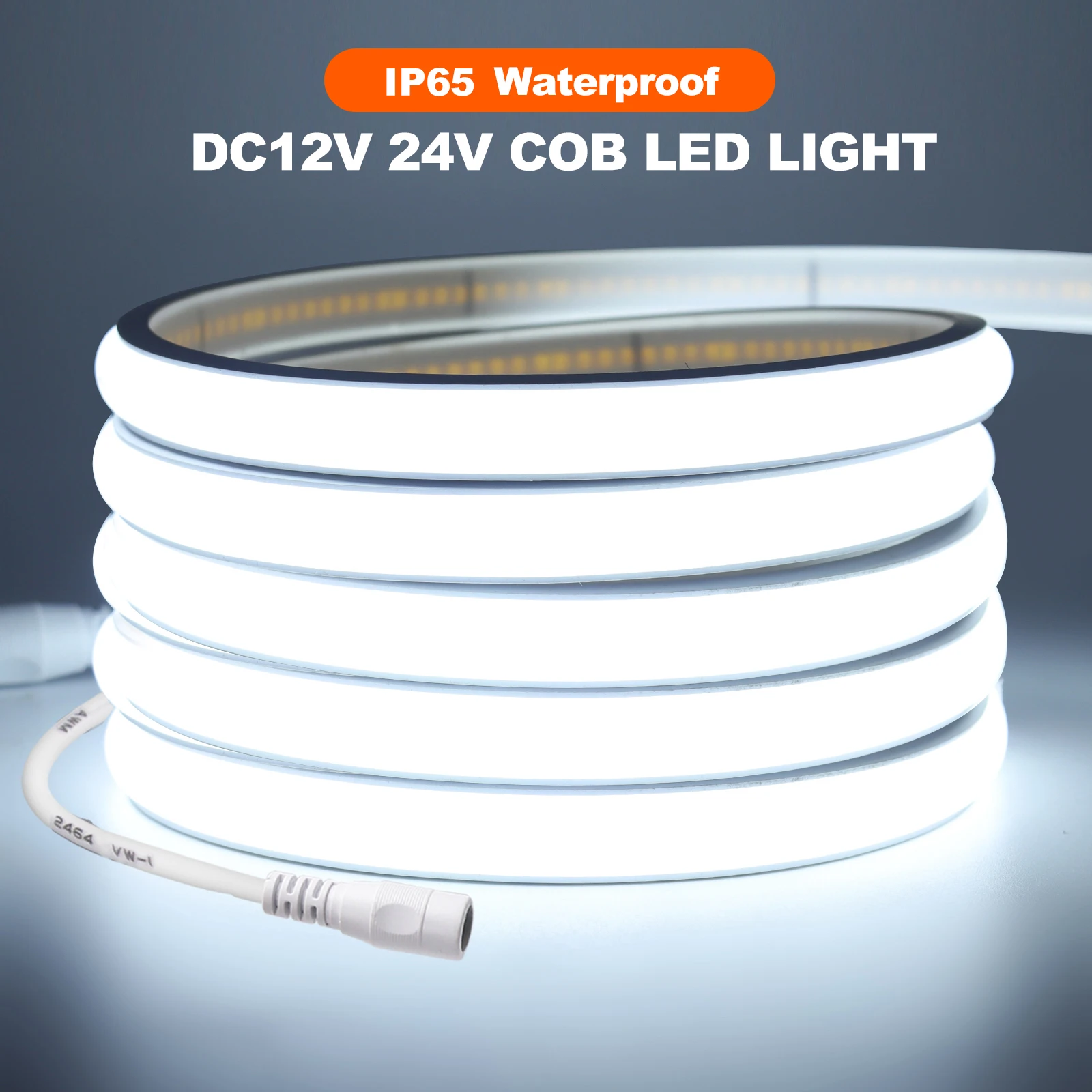 Flexible Waterproof LED Neon Strip Light 12V 24V