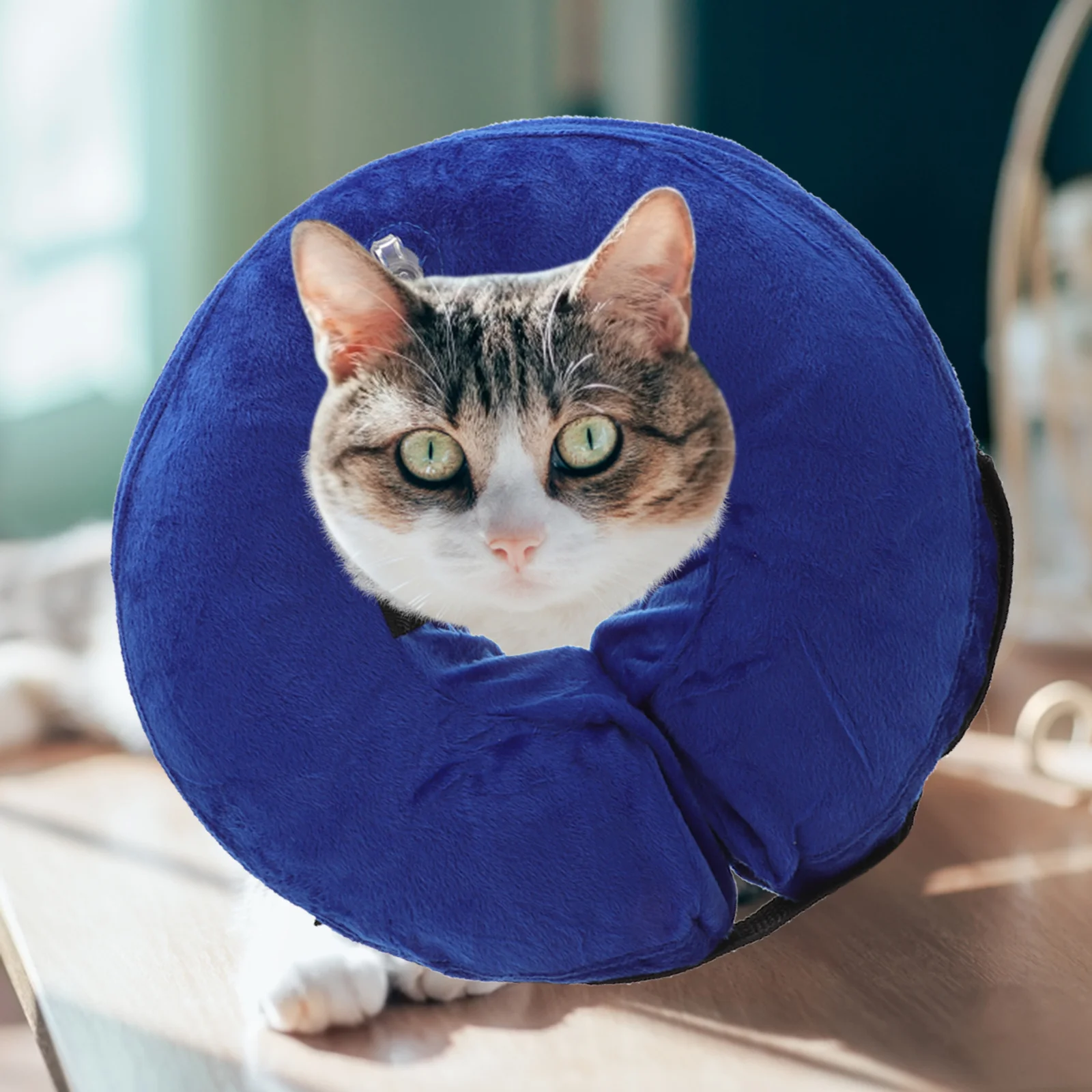 

Inflatable Pet Collar For Cats Post Surgery Recovery Adjustable Small Medium Large Pets Washable