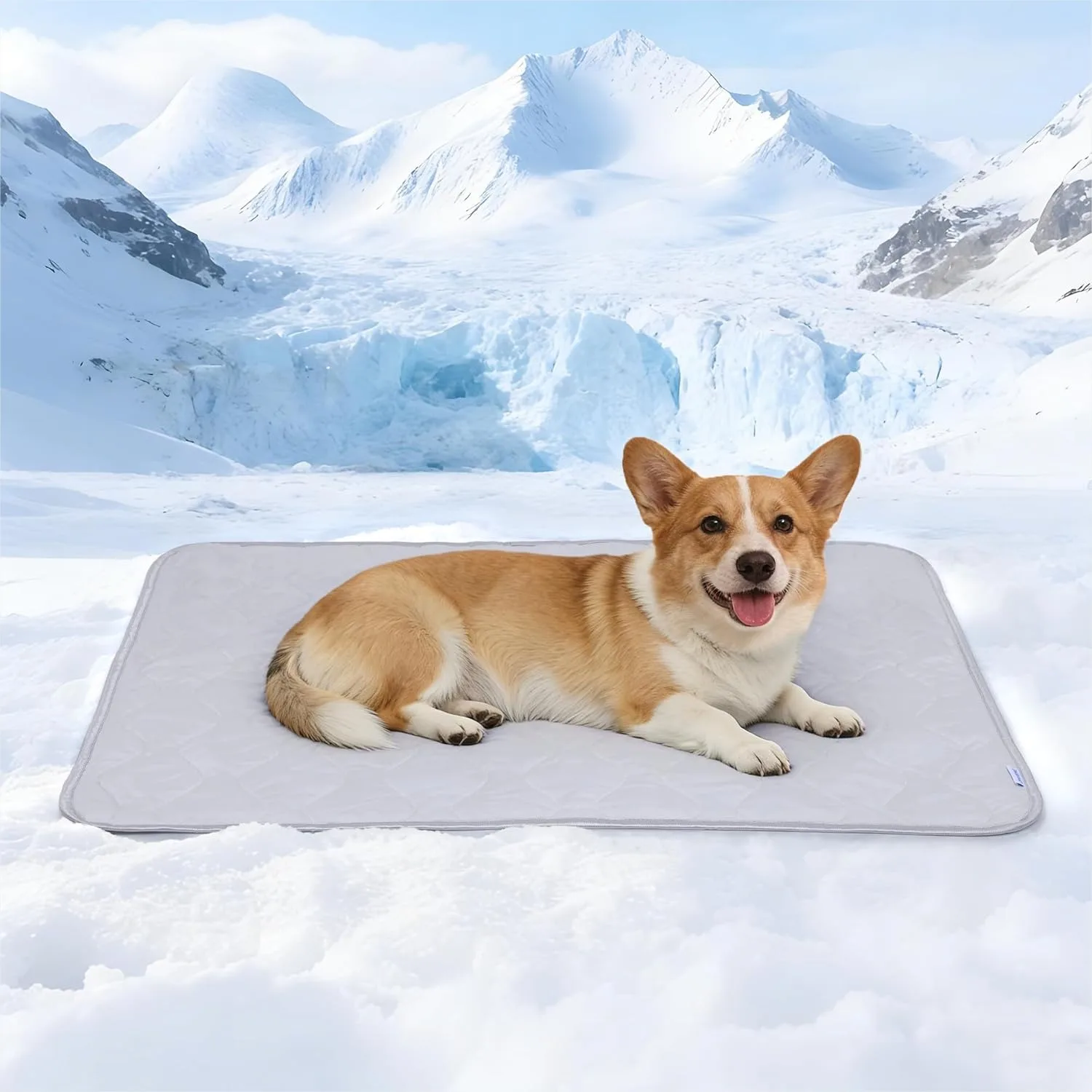 

Cooling Blanket for Medium Dogs - Breathable Summer Cold Pet Throw Mat, Q-Max Over 0.5, Washable Durable Soft Cat Mat for Hot Weather, Grey 30x40