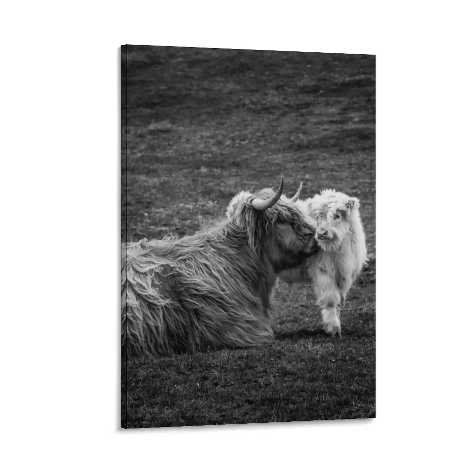 

Highland Coo and Calf, Scottish Borders Canvas Painting wall decoration aesthetic room