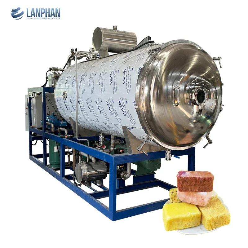 Lyophilization Equipment Industrial Fruit Food Vacuum Freeze Dryer Machine Price