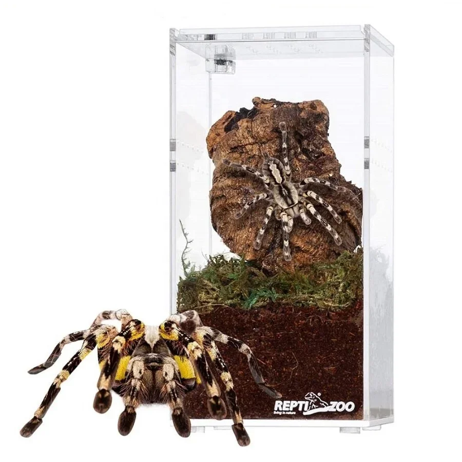 Magnetic Acrylic Reptile Breeding Box with Sliding Cover