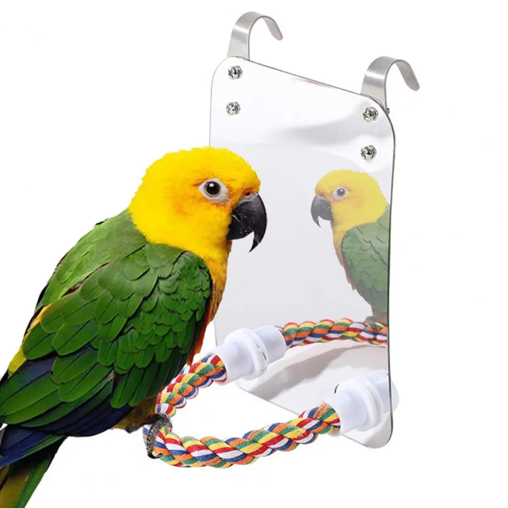 

Cage Accessory for Parrots Colorful Rope Parrot Toy Colorful Hanging Bird Mirror with Rope Perch A Vibrant Toy for Parrots