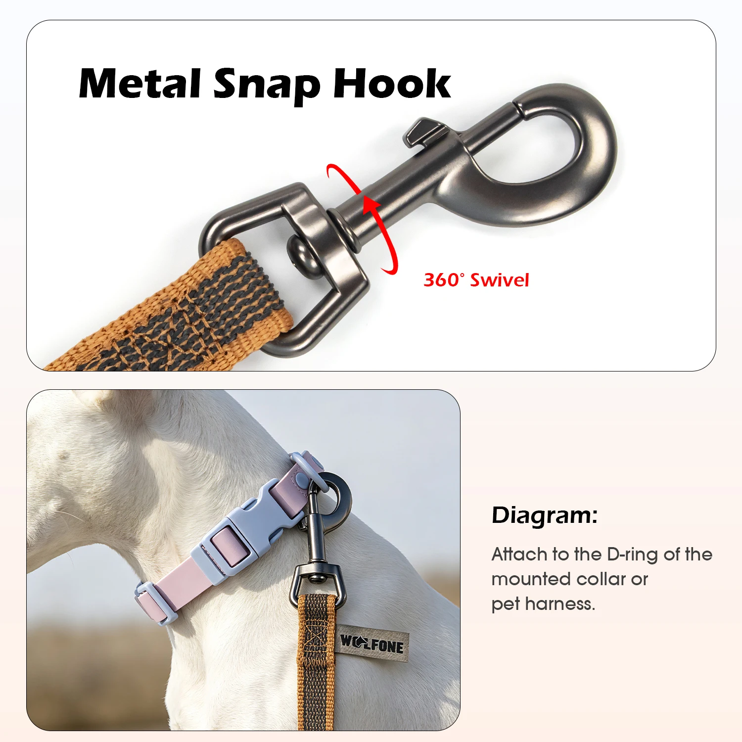 Thumbnail 4 - #11 Compare Dog Supplies Before You Buy