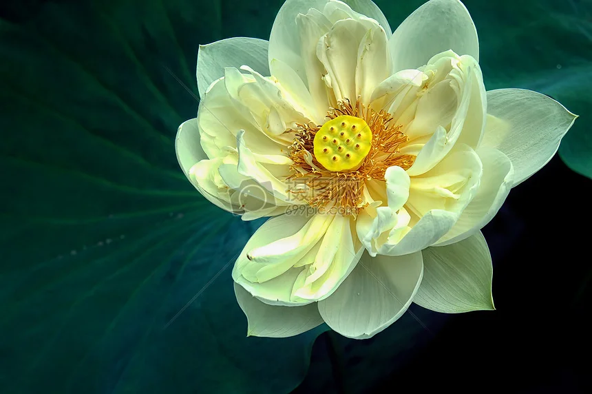 

Поролоновый передний бампер для шасси Tamiya TA02 TA02W TA02S TA02SW, детали для модернизации