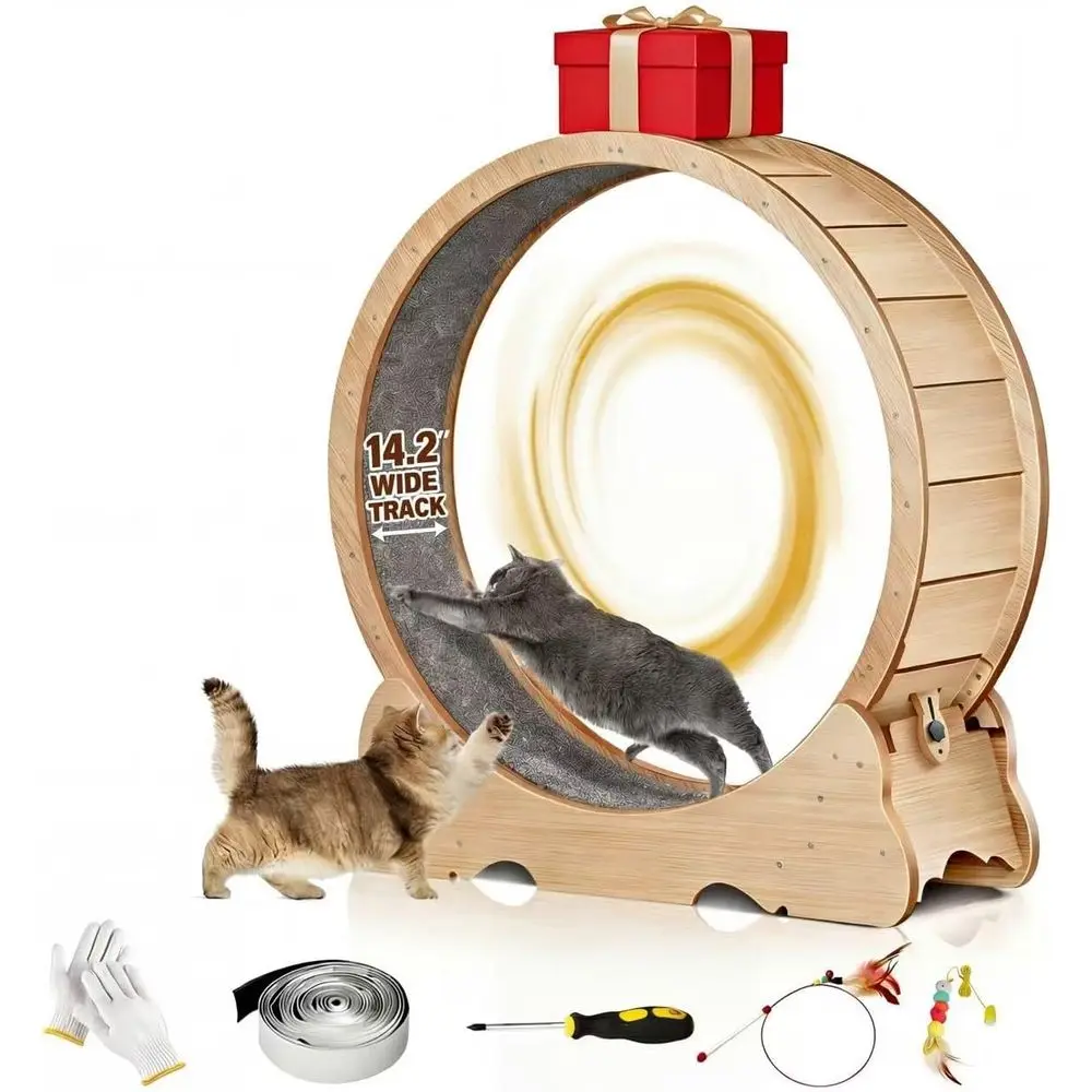 Large 48 Exercise W…