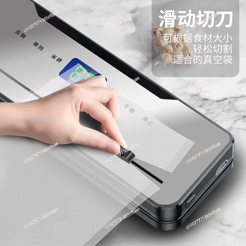 Automatic Wet & Dry Vacuum Sealer Machine Compact for Food Fresh-Keeping