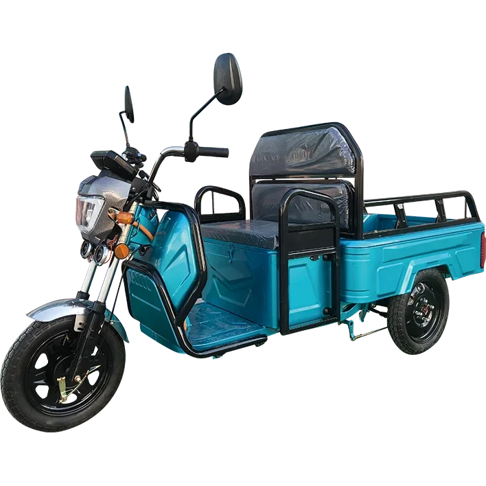 

Fast Delivery Adults Tricycle 3 Wheel Electric Truck Cargo Good Quality Electric Tricycle Cargo