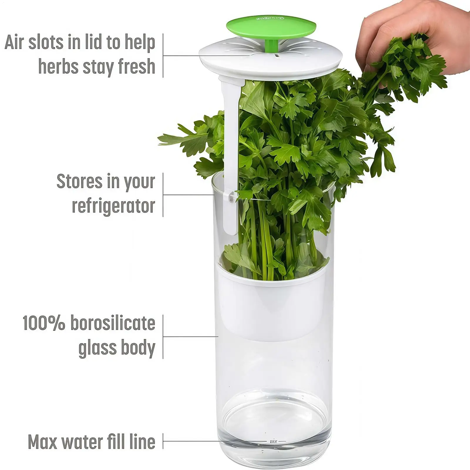 Vegetable Preserver Breathable Humidity Control Organizer Fridge Greens Vegetable Preserver For Cilantro Basil Daily Meal Prep