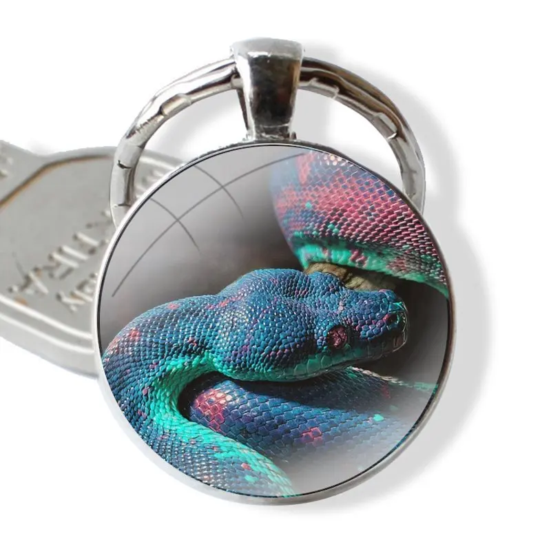 Animal Leather Snake Scales Keychain Handmade Glass Cabochon Key Ring Holder Pendant Key Chains