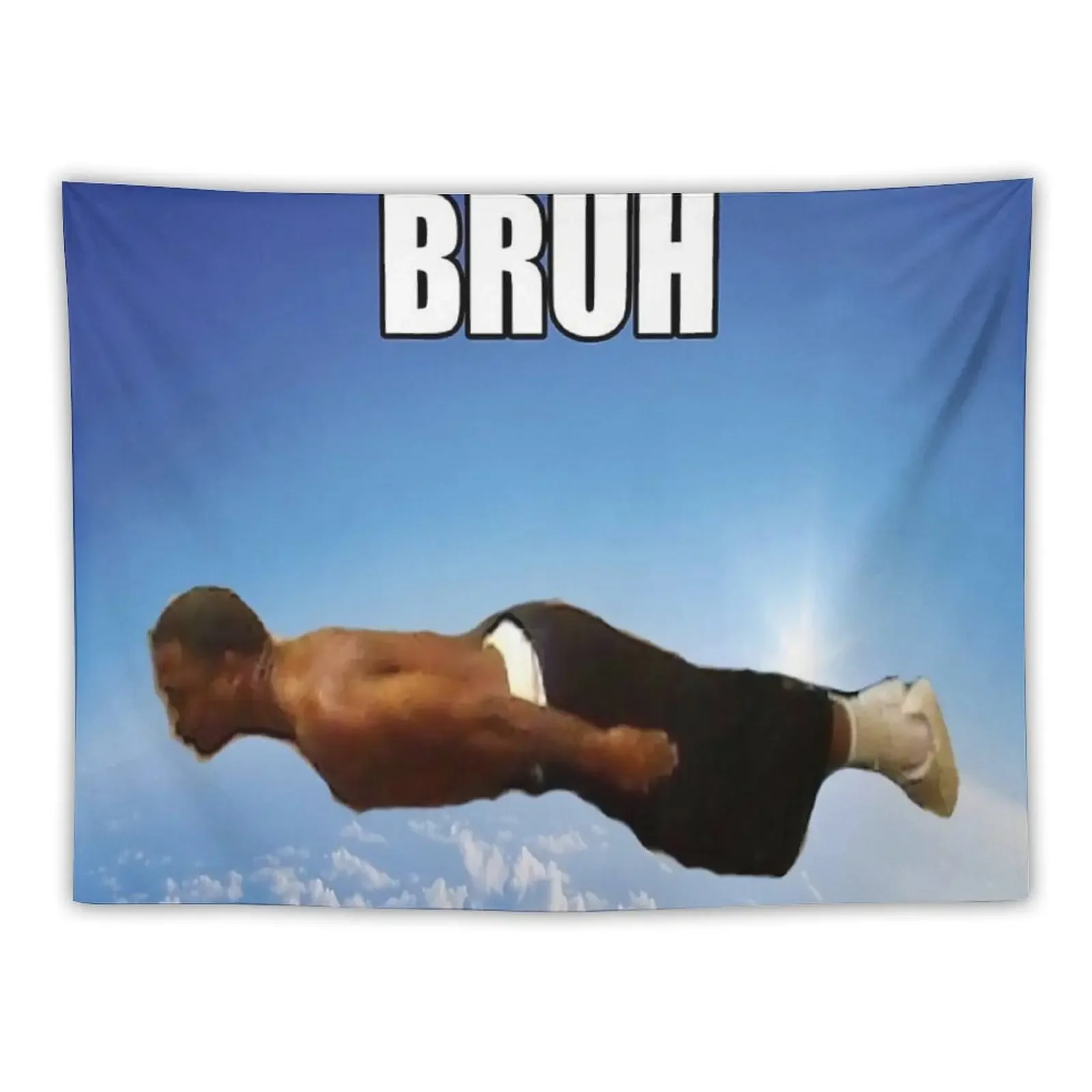 

Bruh Flying Meme Tapestry Decorative Wall Room Ornaments Wall Decor Tapestry