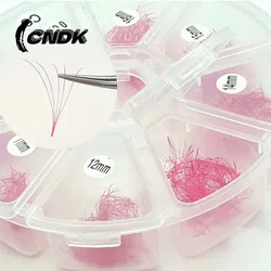 3D 6D Pink Brown Lashes Premade Fans Eyelash Extension 1000 Fans Handmade Loose Volume Lashes Pre Made Fans 0.07mm C D 8-15mm
