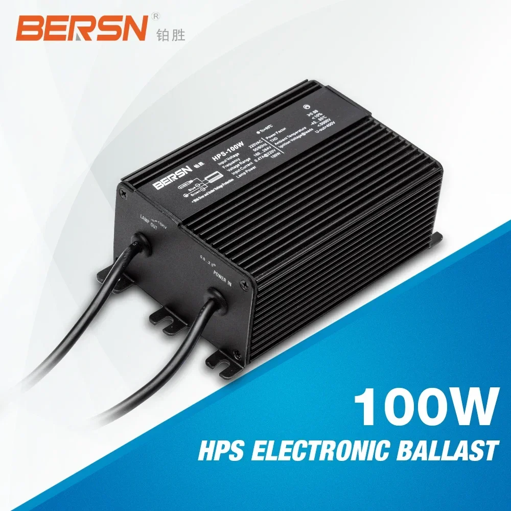 Ballast de Sodium à Haute Pression (HPS) de 100W, pour Hps, Lumière de Croissance, Offre Spéciale