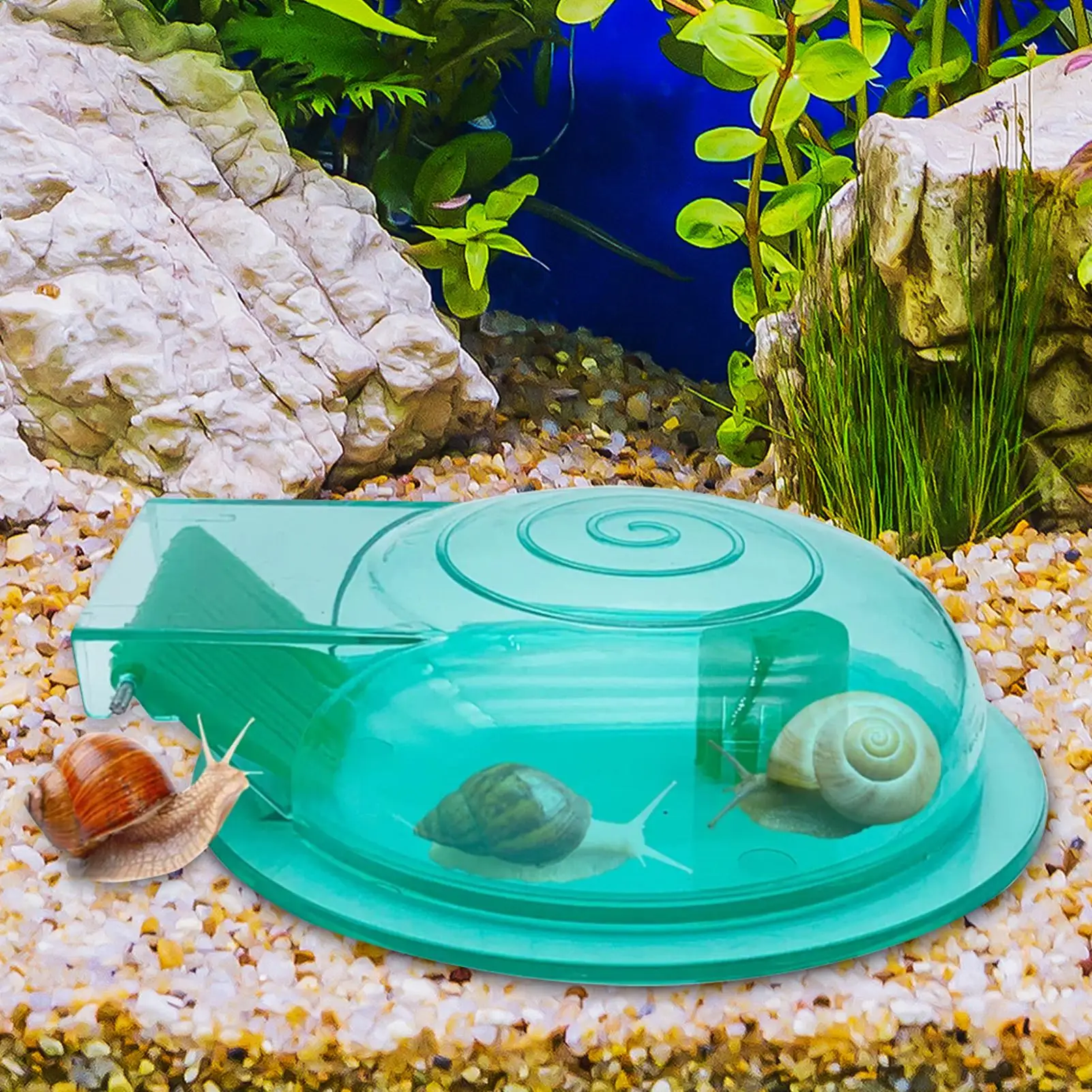 Aquarium Schneckenfänger Aquarium Schneckenfangfallen Aquarium Reinigungsmittel Planaria Catch Box für Haushalt Aquarium
