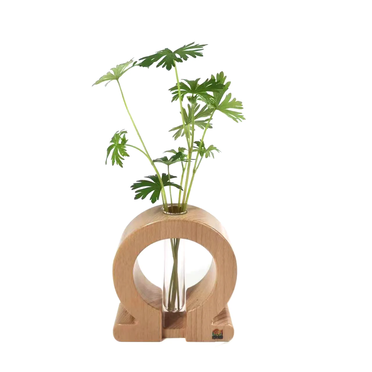 Hydroponics vase-Ω wooden crafts furniture accessories  Propagation station, propagation, Plant vase new deisign