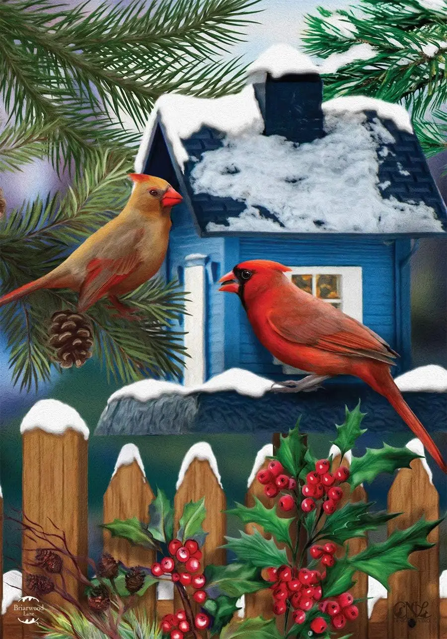 Snow Day Cardinals Winter Garden Flag Birdhouse Berries 12.5