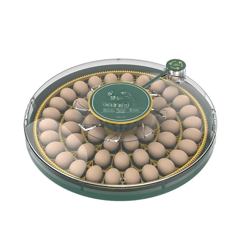 Incubator New Arrive Full Automatic 52 Chicken Eggs Mini Solar Egg Incubator for Family Use