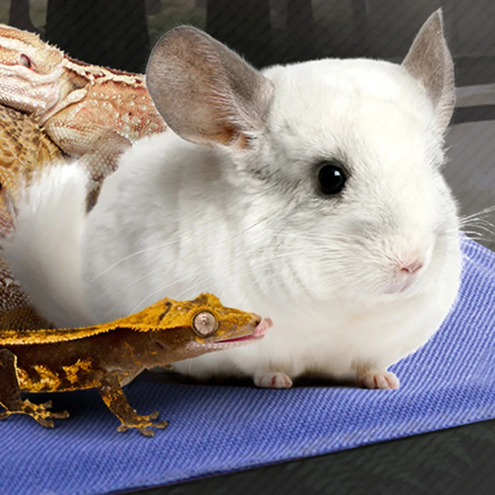 

Pet Heating Blanket Efficient Energy Use Waterproof Design Flexible Fit for Most Beds Dogs Cats Cozy Warmth L Blue