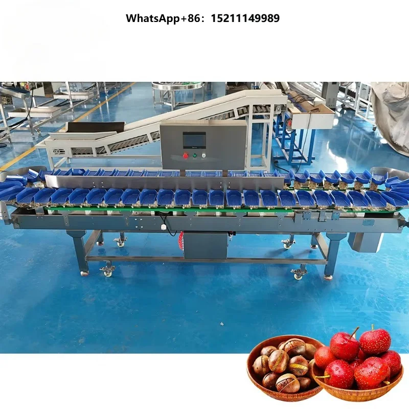 Modular Box Type Automatic Weight Grading Machine Easy Maintenance for Vegetable Fruit and Aquatic Product Sorting