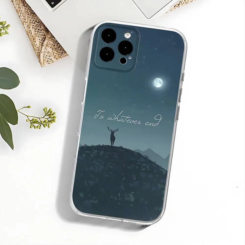 T-Throne Of Glass Handyhülle für iPhone 17,16,15,14,13,12,11 Pro,Max,Plus,X,XS,XR,SE4,E Mini Transparente Softcover