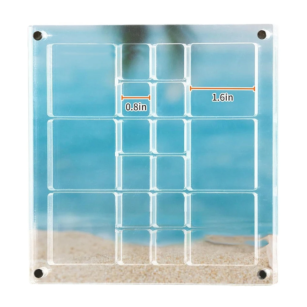 Elegant Transparent Organizer Multi Grid Shell Storage Case in Clear Acrylic Perfectly Crafted to Show Off Your Finds