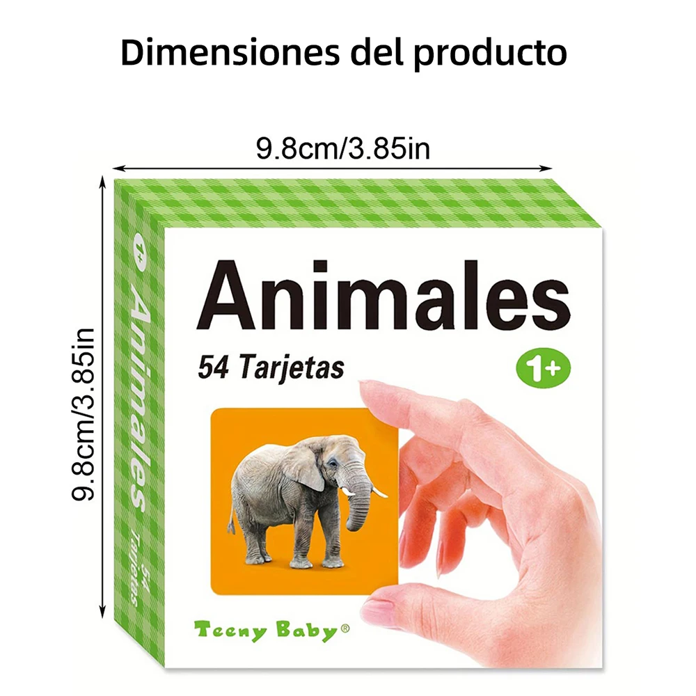 أنواع مختلفة من بطاقات التعلم الإسبانية للأطفال لتحسين القدرات المعرفية التي تعود إلى المدرسة #3