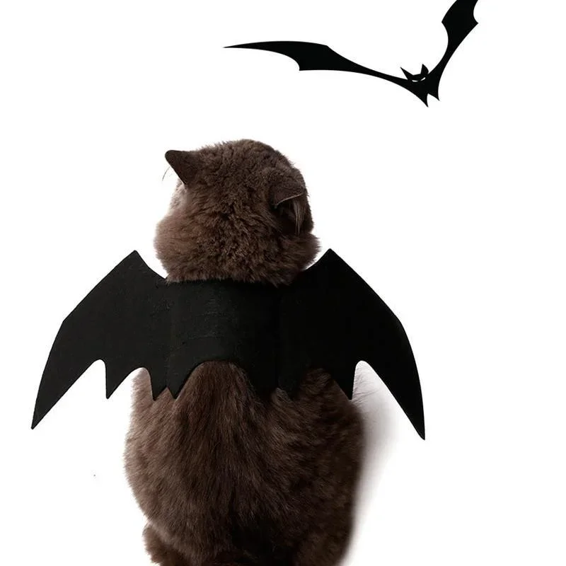 Costume d'Halloween pour Petits Chiens et Chats, Ailes de Chauve-Souris, Vampire, Accessoires Mignons, Décorations