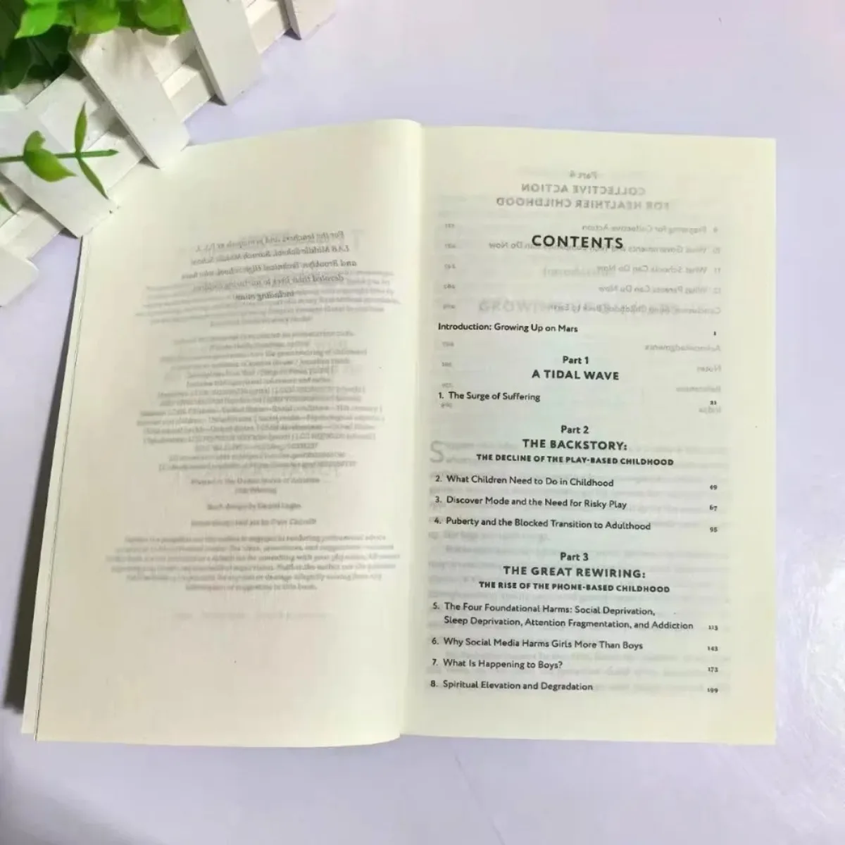 The Anxious Generation By Jonathan Haidt - Smartphones & Childhood Rewiring | Mental Health Crisis Solutions Guide Classic