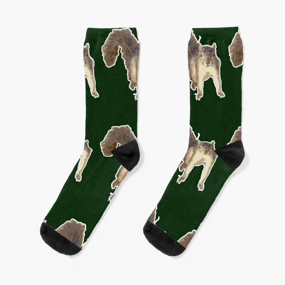 

Squirrel Portrait Socks Climbing retro professional running heated Socks Male Women's