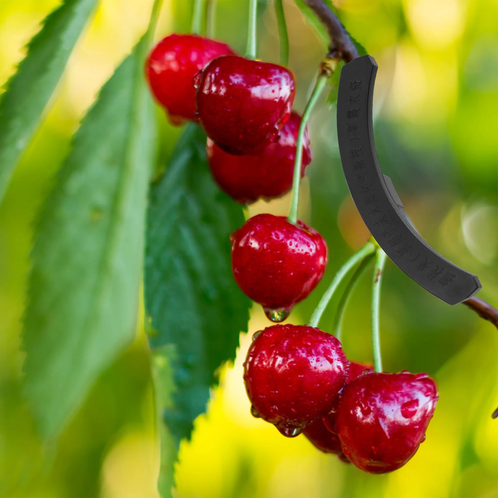 

10Pcs Plant Bender Plastic Clips Reusable Branch Bender for Indoor Outdoor Fruit Tree Branch Trainer Clip