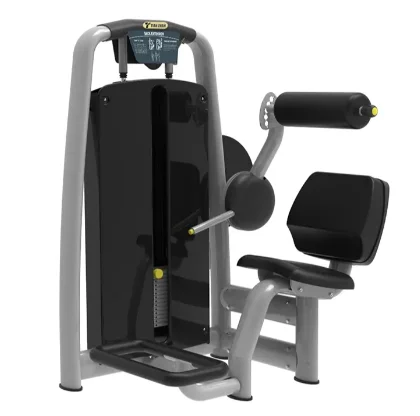 

Popular Functional Gym Fitness Strength Equipment Lower Back Core Training Machine11