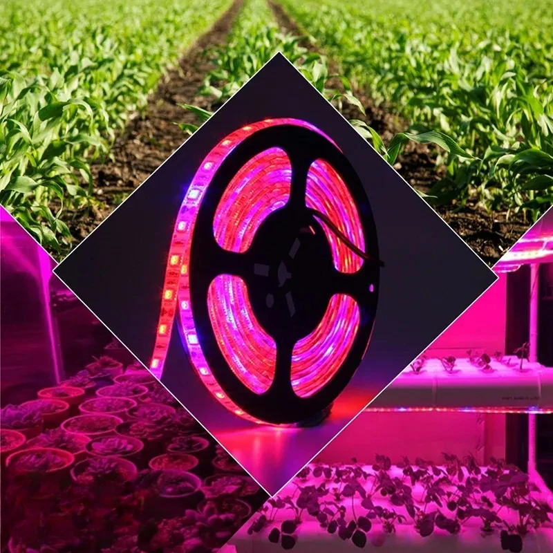 USB 2835 Grow Light Strip Plants Led Plant Cultivation Indoor Lights Tomato Lamp Phytolamp Stove Lighting Professional