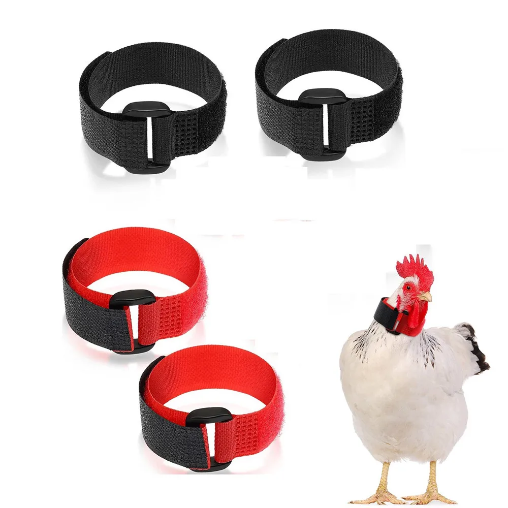 

4pcs Chicken Collars Anti-Hook Noise Free Neckband Supplies Nylon Collar Rooster Supplies