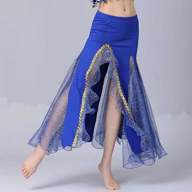 2023 Professional Belly Dance Spilt Skirt Women Sexy Shiny Mesh Dancing Long Dress Female Maxi Bellydance Lesson Wear Costume