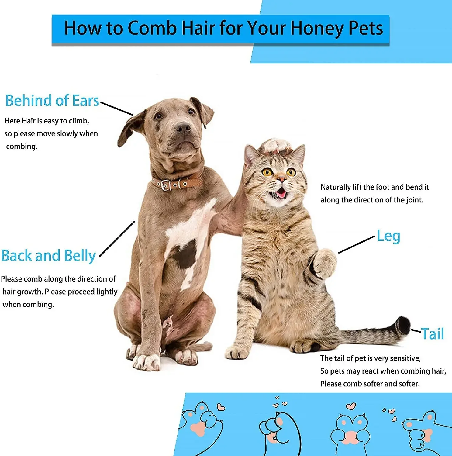 Thumbnail 3 - #11 Best Dog Bathing Brushes to Buy In 2026