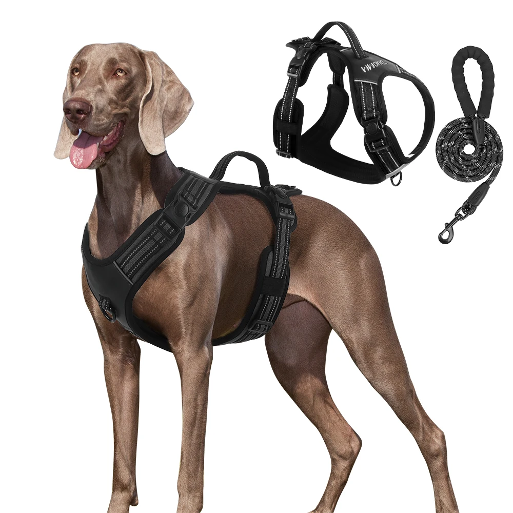 ceinture-de-traction-reflechissante-pour-chien-avec-poitrine-et-gilet-personnalises-fournitures-en-nylon-pour-animaux-de-compagnie-decoration-en-dentelle-en-vrac-nouvel-arrivage