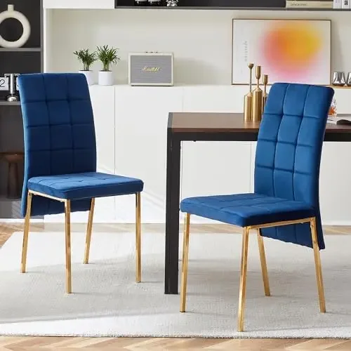 Velvet Dining Chair Set of 2, Comfy Home Kitchen Chair Upholstered Side Chair Armless Living Chair Unique Design with