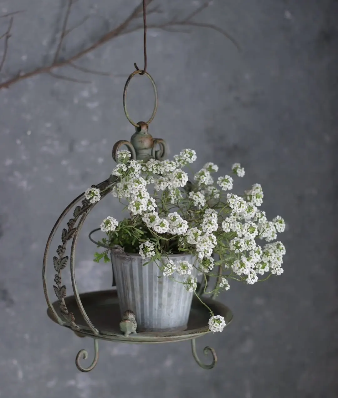 

Morris Garden, Garden Grocery Hanging Lace Cage Pot Stand Pot Holder, Height 36 Width 31 Diameter 24