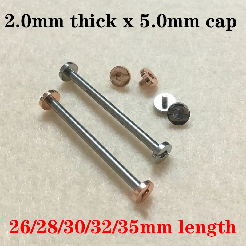 Watch Fixed Shaft Raw Lug Rod Watch Strap Steel One-Word Screw Shaft Ceramic Strap Link Rod Watch Accessories