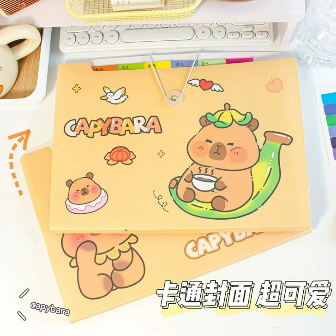 لطيف كابيبالا مجلد ملفات قابل للتوسيع 5/8/12 مجلدات الجيب طالب متعدد الطبقات امتحان ورقة تخزين حقيبة الملفات لمكتب المدرسة #6